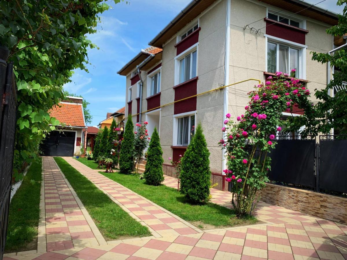 Отель Casa Mary Хацег Экстерьер фото