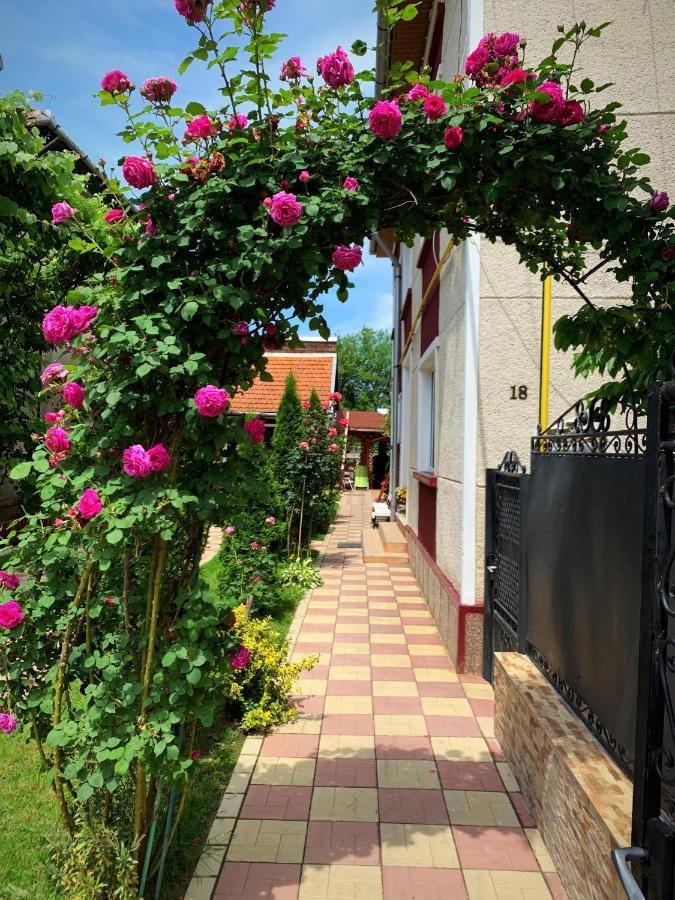 Отель Casa Mary Хацег Экстерьер фото
